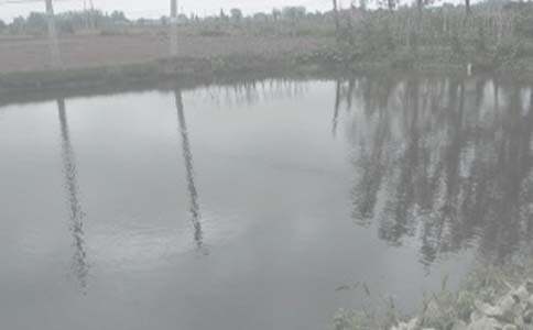 ũ�������а���ͬ15ƪ