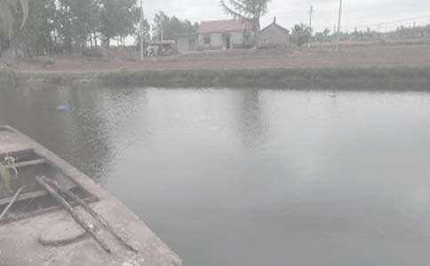 �������а���ͬ