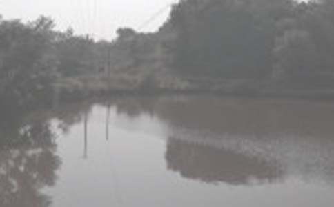 �����а���ͬ