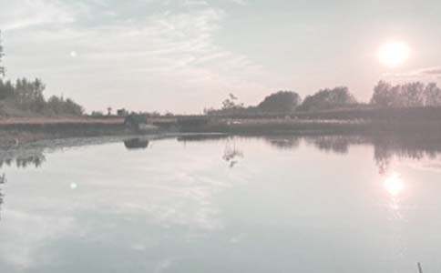 ��ѡ�����а���ͬ��ƪ