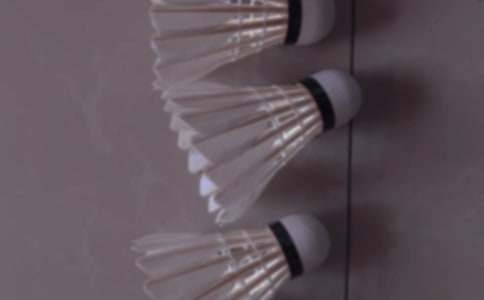 ��ë������߻���15ƪ