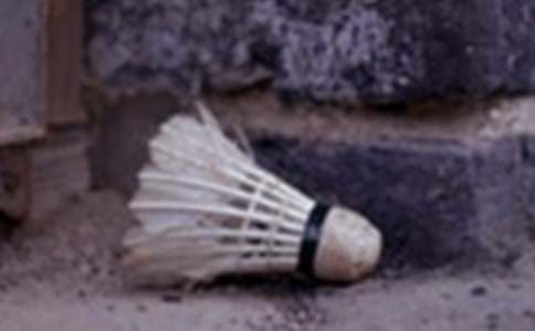 �ҽ�����ë������߻���