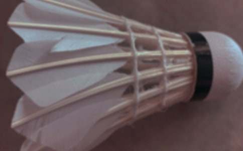 (优选)打羽毛球作文