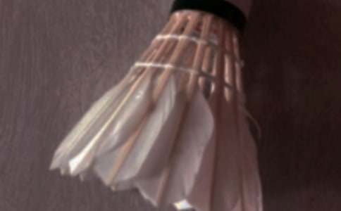 ��ѧ��ë������߻��顾�Ƽ���