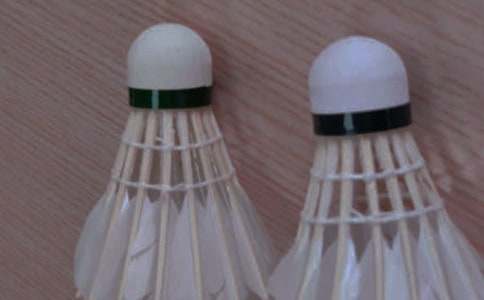 ��ѧ����ë������߻���