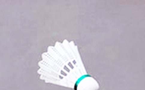 ��ë���߻��龭��15ƪ