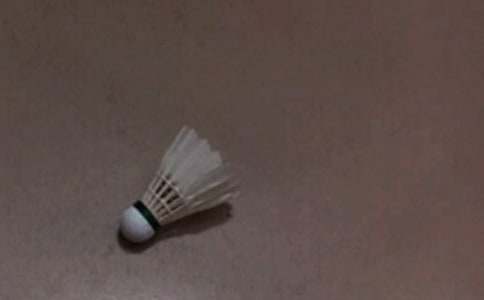 羽毛球心得体会集合(15篇)