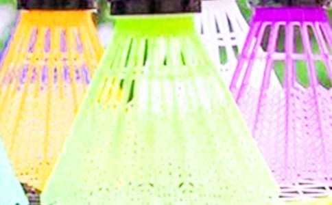 羽毛球比赛策划书范文(范例14篇)