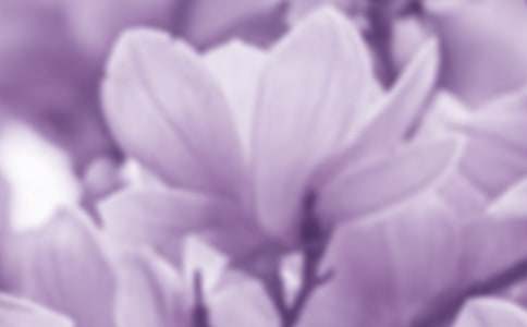 (ͨ��)������������15ƪ