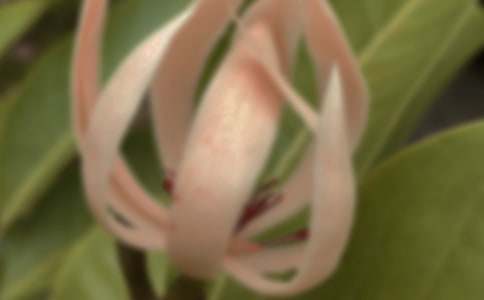 ������������ʲô