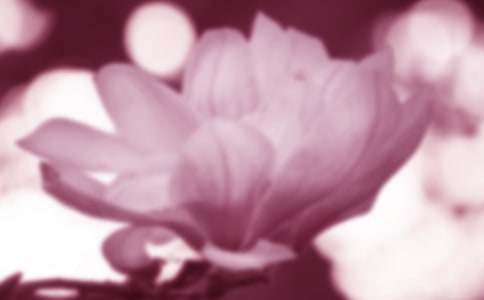 ������������ʲô-�ʻ�����