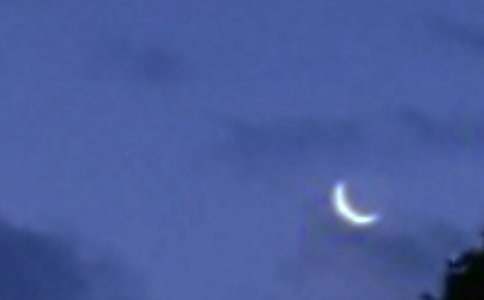 ����������̰����ģ���ѡ5ƪ��