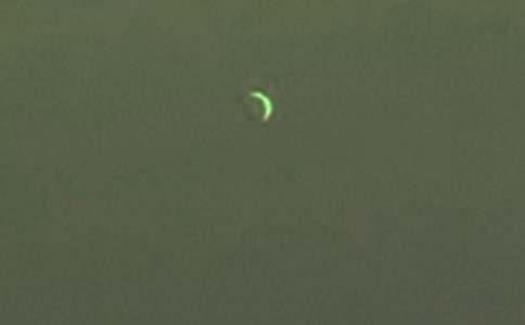 弯弯的月亮小班教案(精选11篇)