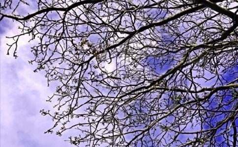 �������õ��簲QQף����ժ¼49��