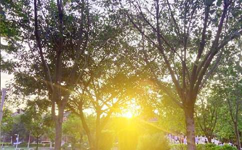 2023��������õ��簲ף����15��