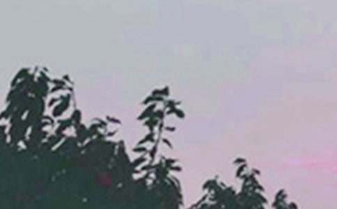 【实用】2023年美好的早安祝福语语录大合集57句