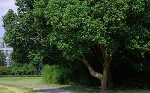 经典朋友圈早安祝福语35句精选