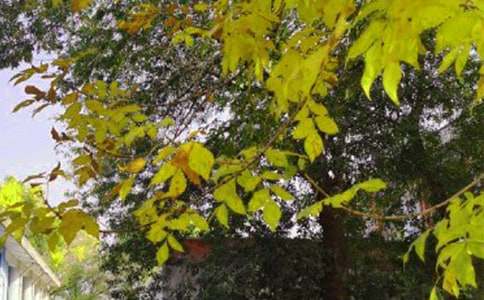 ��ʵ�á����õ��簲΢��ף����󼯺�59��