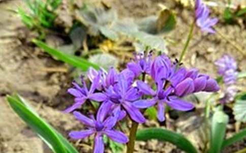 2023年有关美好的早安微信祝福语摘录59句