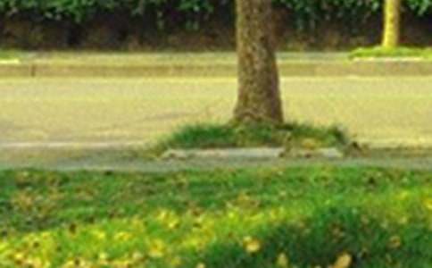 简单的美好的早安微信祝福语32条