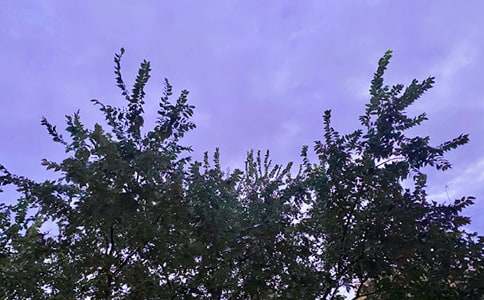 ���õ��簲΢��ף����27��