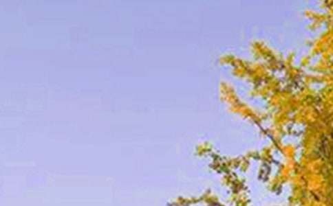 最新早安祝福语110句