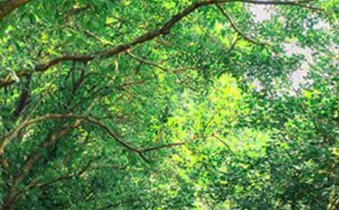 �����������õ��簲QQף����63��