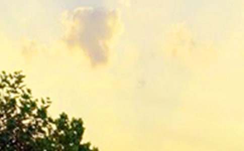 2023��������õ��簲ף�������34��