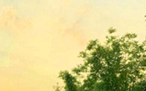 �й�����Ȧ�簲ף�����ȫ��ͨ��55�䣩