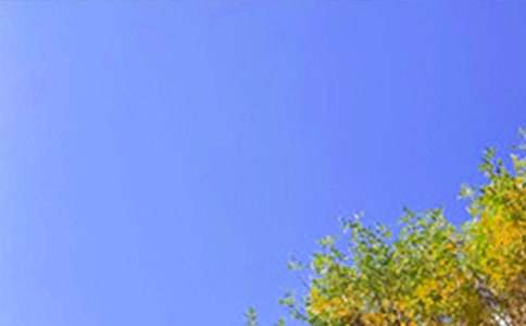 ����ů���簲ף�������85��