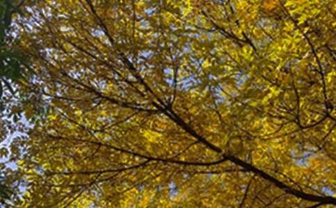 2022年简单的美好的早安QQ祝福语汇编55条