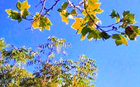 美好的早安祝福语语录29句