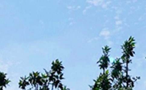 �������õ��簲QQף���Ｏ��55��