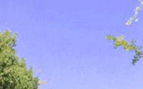 【热门】美好的早安祝福语语录合集40条