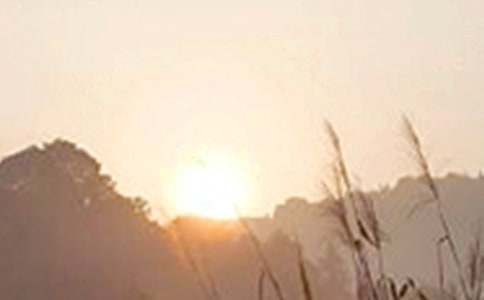 �������õ��簲ף����23��