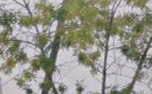 ��������Ȧ�簲ף�����ȫ��ͨ��105�䣩