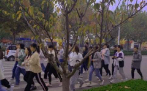 ��ٳٵ�������(ʵ��)