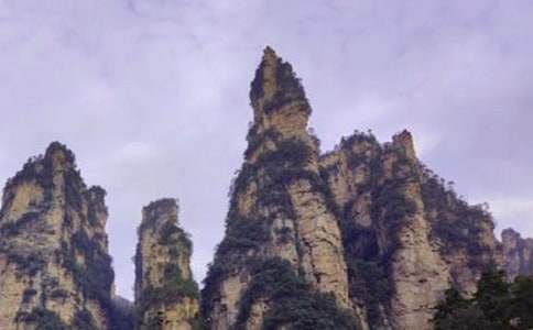 �����żҽ絼�δ�