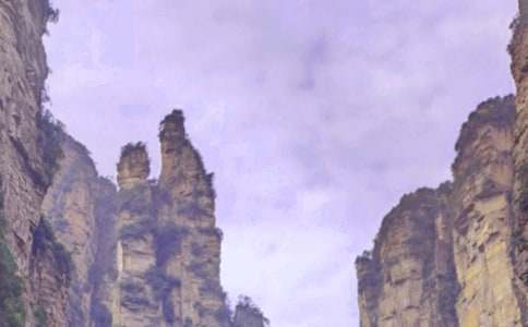 迷人的张家界教案12篇