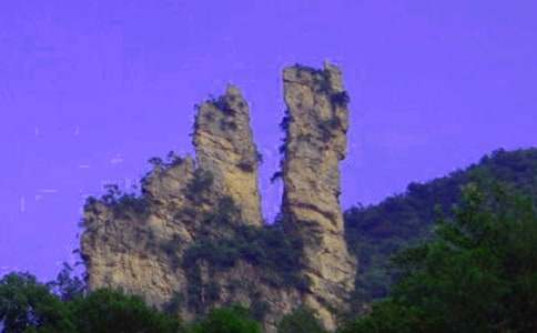 �żҽ���ܵ��δ�