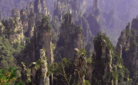 张家界凤凰古城导游词