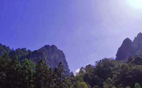 �����żҽ�����ɽ���δ�