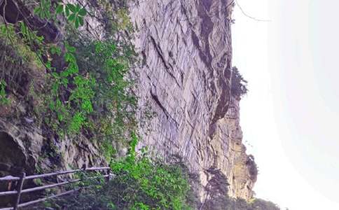 �����żҽ�����ɽ���δ�5ƪ