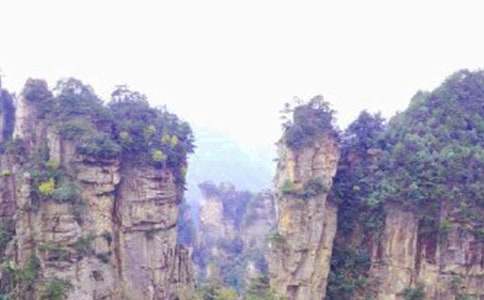 �żҽ絼�δ�15ƪ