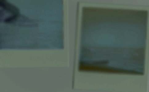 小学作文:一张照片