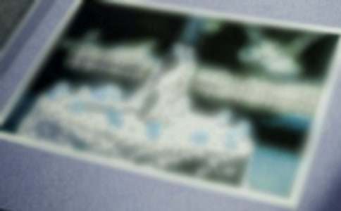 (经典)珍贵的照片作文