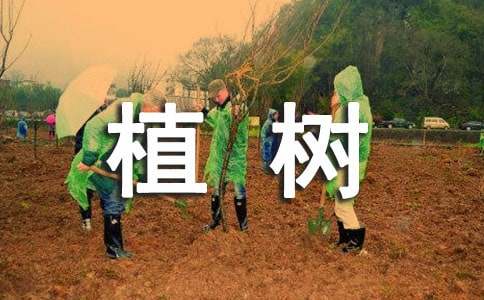 植树造林倡议书小学生六年级