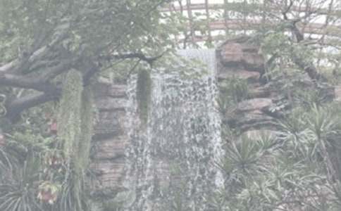 ֲ��԰Сѧ���ۺ��