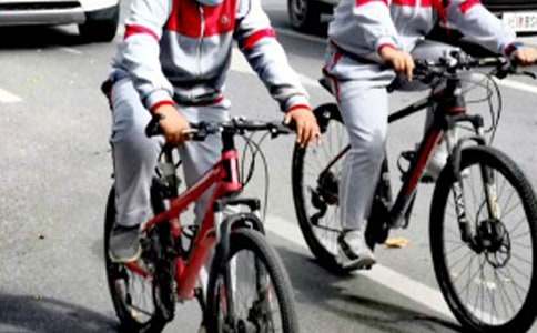 ��ѧ���ı�֤�鷶�Ļ���5ƪ