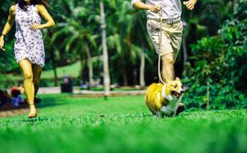 ����������ĩ���